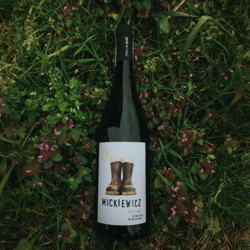 Riesling 2023 - obrazek 2