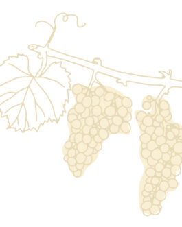 Riesling