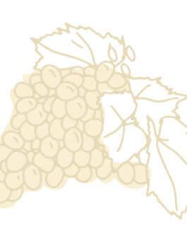 Souvignier Gris