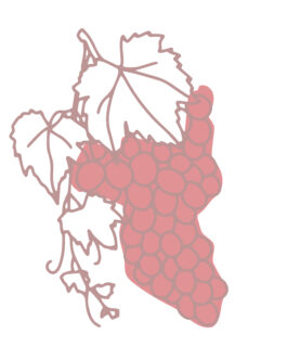 Cabernet cortis